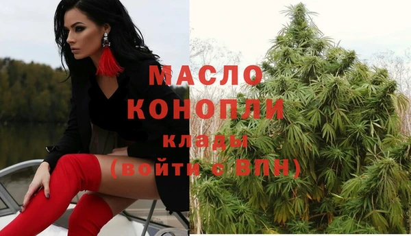 стафф Верхний Тагил