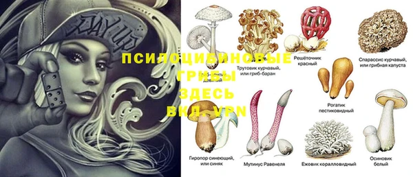 mdpv Горнозаводск
