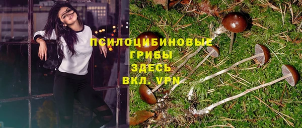 соль ск Семёнов