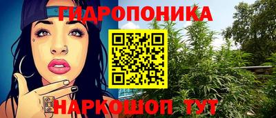 гашик Ипатово