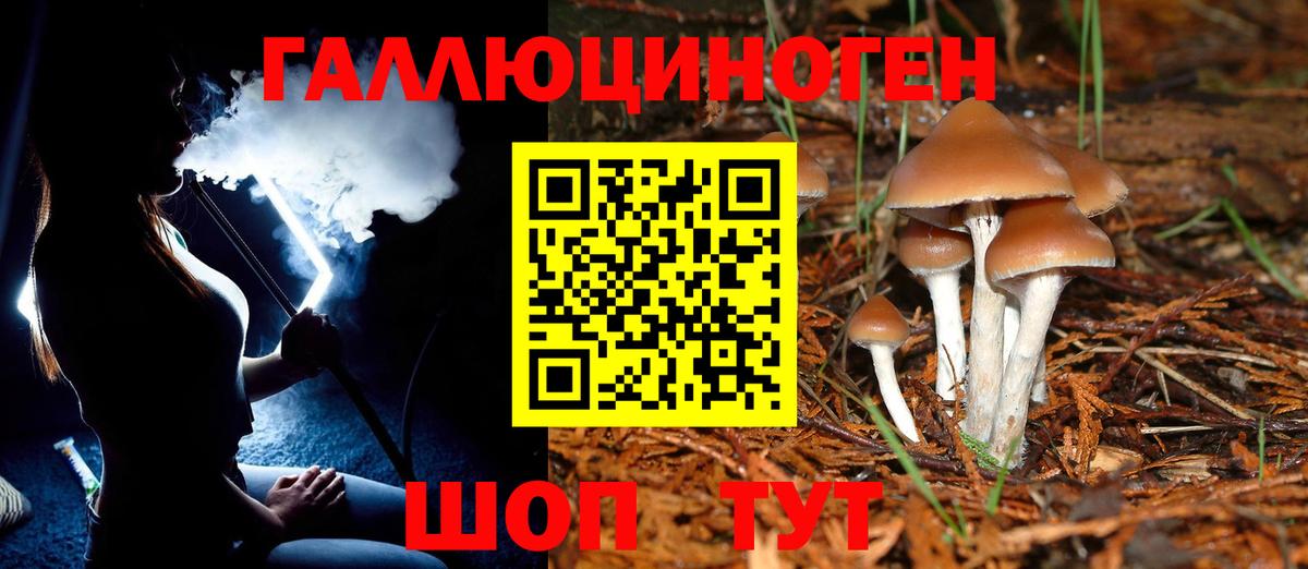 Галлюциногенные грибы Magic Shrooms  как найти закладки  Волхов  Вход с VPN  Псилоцибиновые грибы GOLDEN TEACHER 