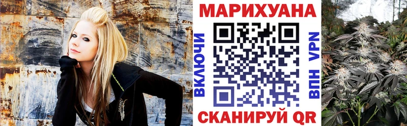 Бошки марихуана White Widow  купить наркотик  Волхов 